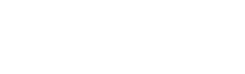 FINNISH INSTITUTE IN THE UK AND IRELAND